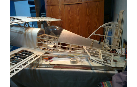 PHOTOS : Le Pitts &quot;Heineken&quot; de Christian Boivin